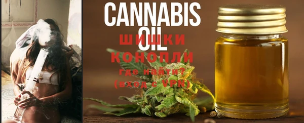 крисы Карпинск