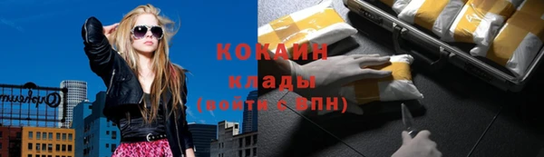 амф Касимов