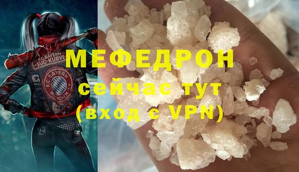 индика Киреевск
