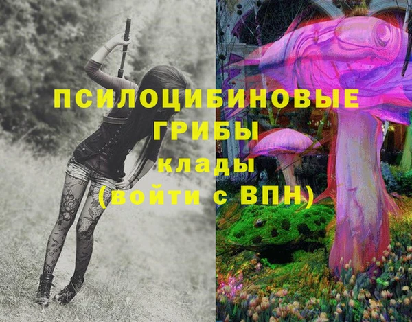 индика Киреевск