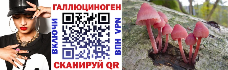 Псилоцибиновые грибы прущие грибы  цены наркотик  Костомукша 